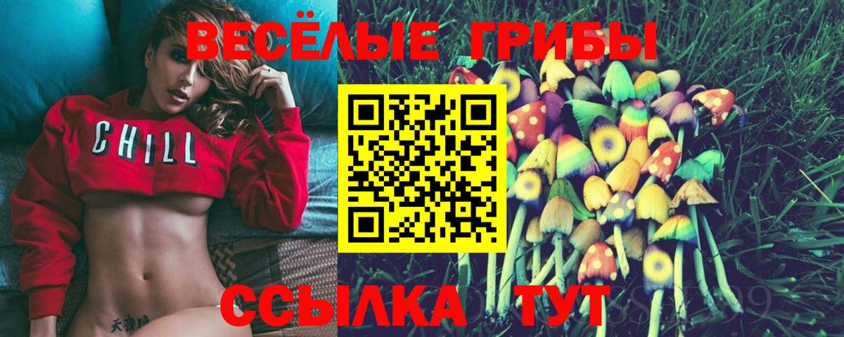Псилоцибиновые грибы GOLDEN TEACHER Бутурлиновка