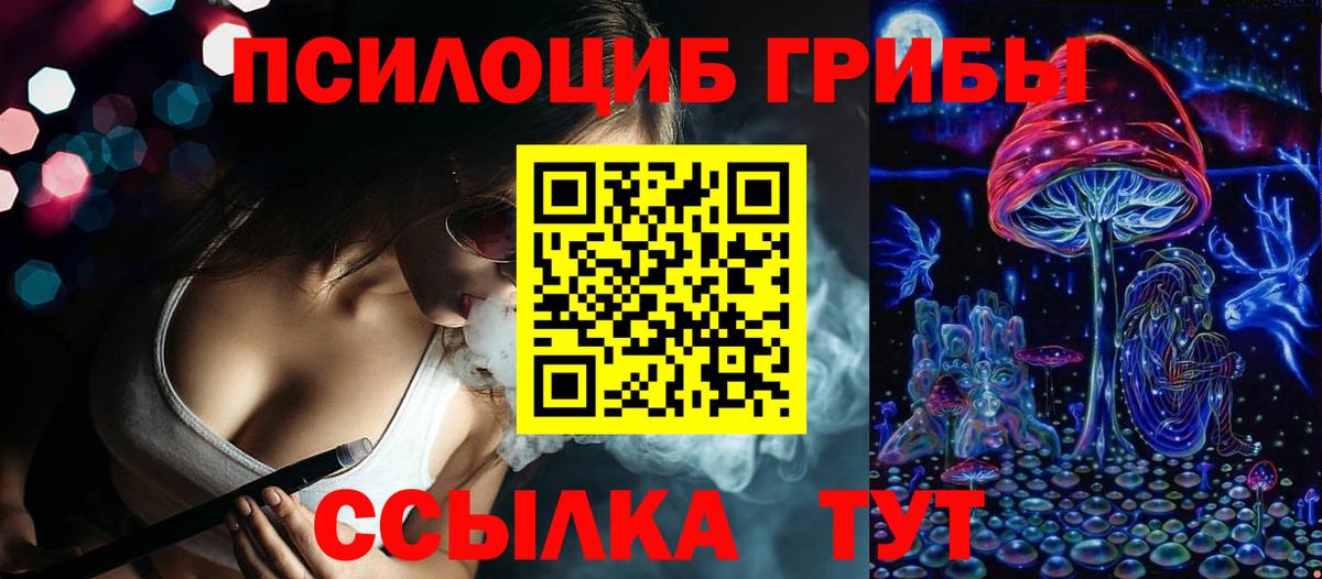 Псилоцибиновые грибы MAGIC MUSHROOMS  Вход с VPN  Бутурлиновка 